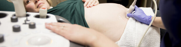 Transmed Ultrasound Services – What We Do